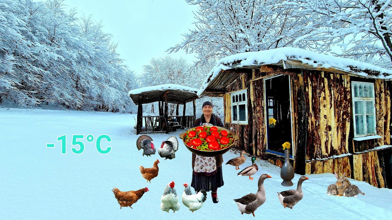 Смотреть видео Смотреть видео