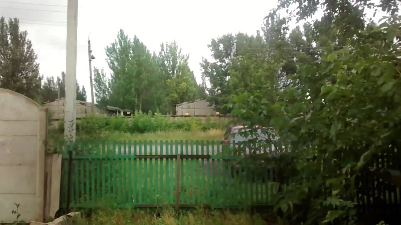 Animal Rage Xl �������: ����.