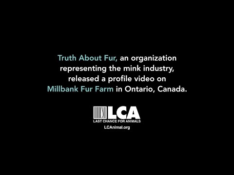 The Truth About Millbank – Exposing Fur Industry Lies