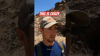 Lost Gold Mine Discovery Found Metal Detecting #shorts