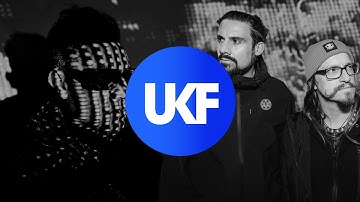 PAV4N & TRUTH - Pythons