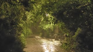 🎧 Soothing and Relaxing Rain in the Old Park at Night - 10 Hours for Relaxation, Sleep & Study - 4K by Relax Sleep ASMR 304,444 views 4 years ago 10 hours