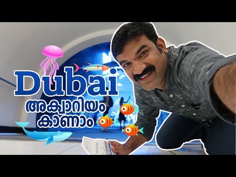 🦈 🐟ദുബായ് അക്വാറിയം കാണാം 🐬| Dubai Aquarium and Underwater Zoo Updated for 2023