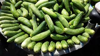 Healthy Eating Cucumber ( Pce-Rs.3/- / Rs. 4/-) | Kolkata street food- Food lover's BM