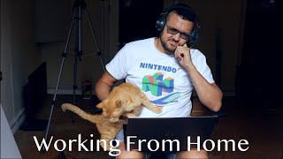 Working From Home (Original Song)