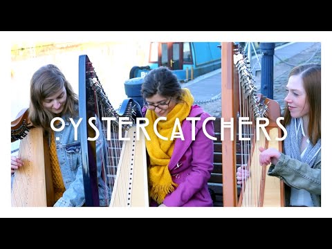 Oystercatchers - Official Music Video - The Willow Trio - by Romy Wymer - Clarsach Trio