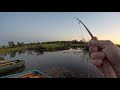 Fly Fishing for Pike at a Trout Fishery in Scotland 🎣