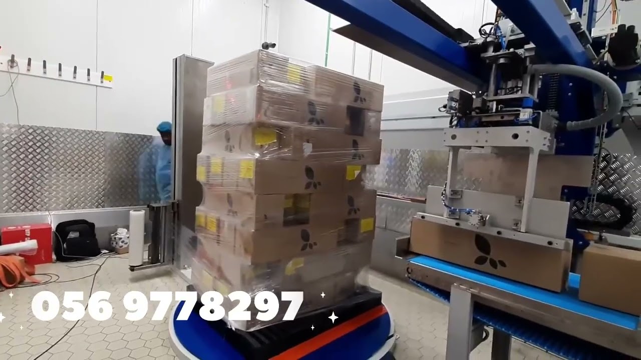 Robotic Pallatizer MF Techno