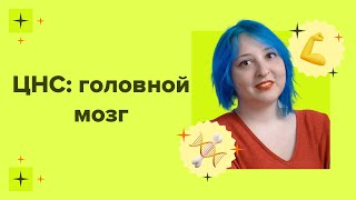 ЦНС: Головной мозг. Подготовка к ЕГЭ/ОГЭ по биологии