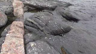 Stop 7 N Parry Sound Trail Geologic mapping