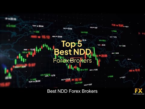 Best NDD Forex Brokers📈