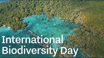 International Biodiversity Day 2025