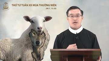 Lời Chúa - Thứ Tư tuần XII mùa Thường Niên 22/06/2022