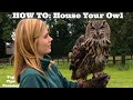 TOP TIPS: How To House Your OWL, Owl Aviary, Feeding Your Owl, Where to Fly Your Owl & More!
