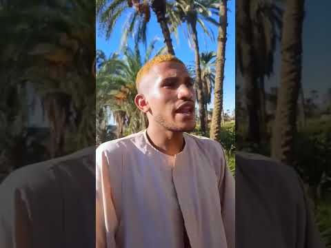 بركة النيجري شغال بيبيع بني آدمين علي بابا