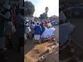 Mogobo Mogobo