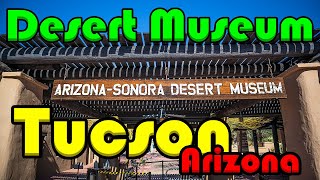 Tucson Arizona | ArizonaSonora Desert Museum | Moving To Arizona