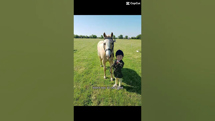 #horse #equestrianjourney #bestfriend #equestrian #horsefan