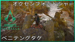 アサシン クリード ヴァルハラ ベニテングタケ