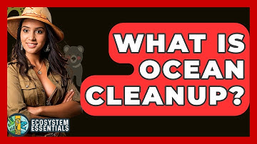 What Is Ocean Cleanup? - Ecosystem Essentials