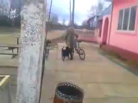 Татьяна убежала в непонятном направлении при этом розговаривая с ментами...