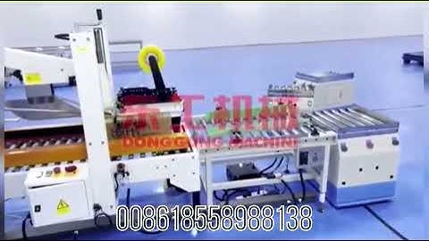 Rear packing machine: plastic cover applicator, case packer, robot palletizer