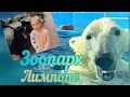 Зоопарк Лимпопо🦁 Жирафы 🦒 Тигры Белый медведь 🐻‍❄️ Волки 🐺 Обезьяны Развлечение для детей Влог