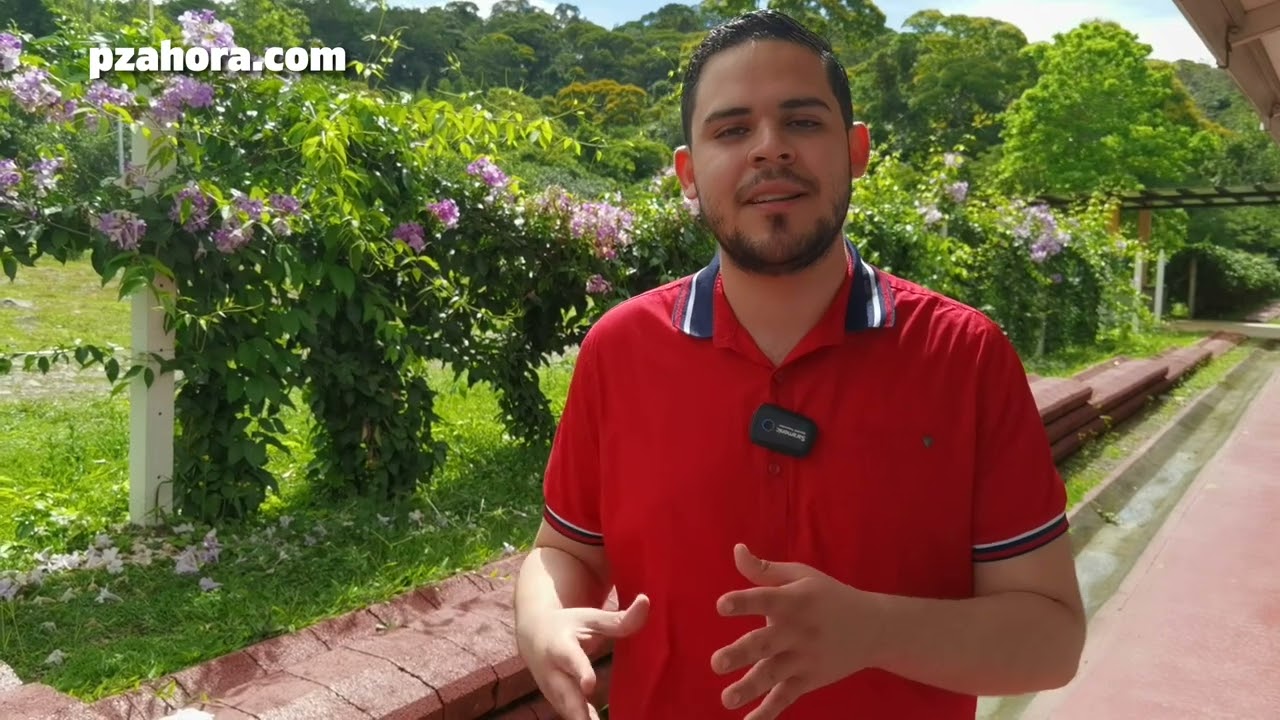 Diputado de Pérez Zeledón, estos son los proyectos en los que trabajan en la Asamblea