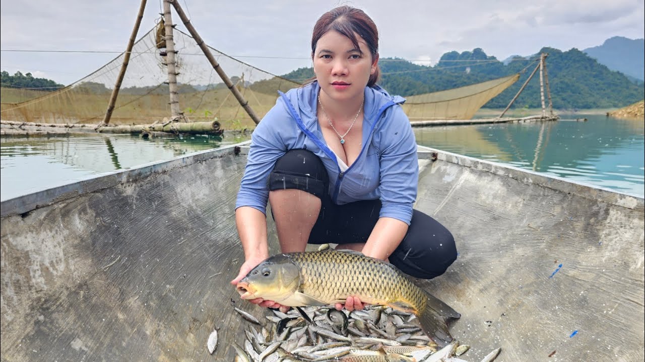 Summary of many videos of girls rinse net and pull fishing on the lake.