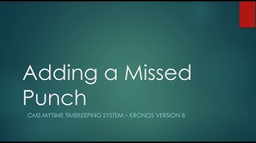 Adding a Missed Punch