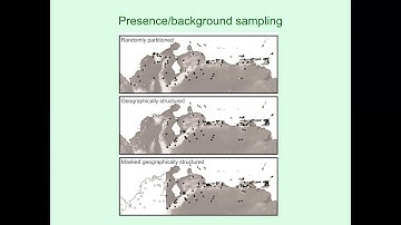 ENM2020 - W22T1 - Evaluation Overview