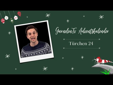 Türchen 24 | BIG GEWINN! | Adventskalender 2021 | GarnelenTv