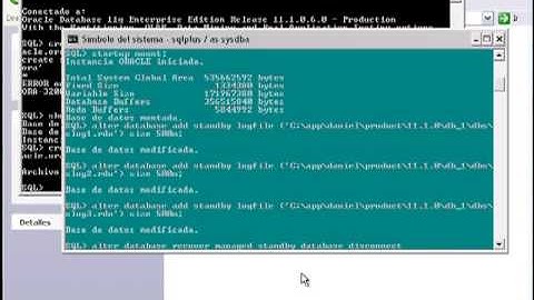 Oracle 11g DataGuard Configuration