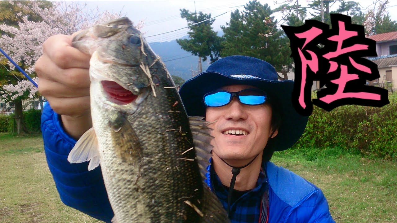 琵琶湖でバス釣り おかっぱりからプリスポーンバスを狙う Youtube