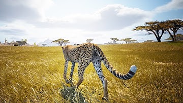 NEW PYTHON & MAP | Animalia Crossplay