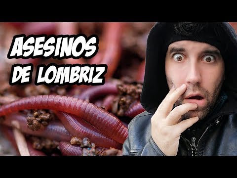 TOP 7 ASESINOS de LOMBRIZ Californiana 😱 | La Huerta de Ivan | EN DIRECTO 🔴