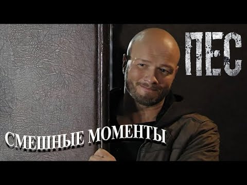 Пёс (смешные моменты)
