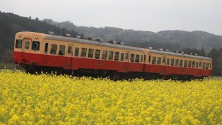 【全てがレトロ】小湊鉄道の普通列車に乗車【1駅】/ 養老渓谷駅⇒上総中野駅