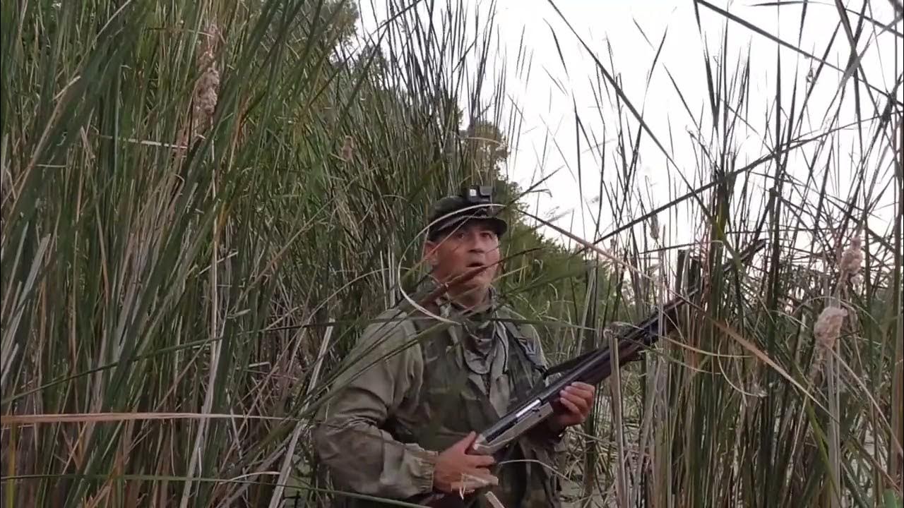 открытие охоты на утку 2022 московская область