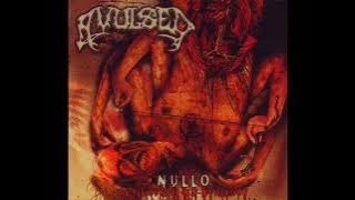 Avulsed - She's Hot Tonight (in my Oven)