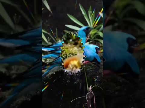 Доброе утро! Красивоепожелание#доброеутро#красиваямузыка#shorts