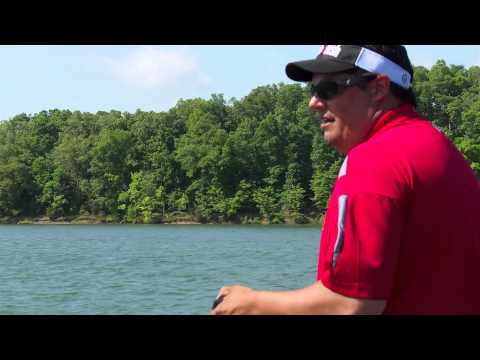Video: In winderige toestande visvang?