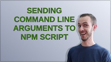 Sending command line arguments to npm script