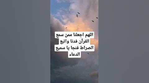 القارئ الشيخ أنس المالك