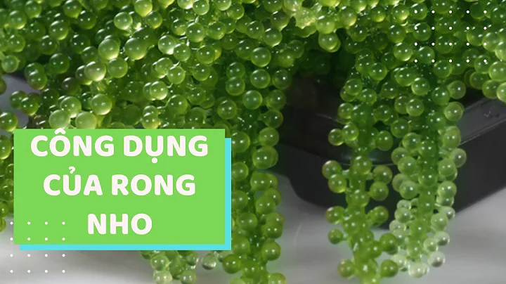 Top 9 lợi ích của rong nho