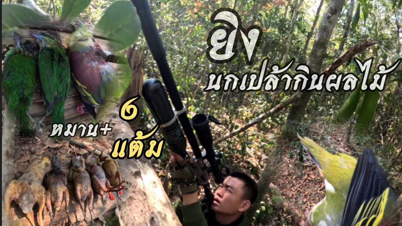 เข้าป่ารอบใหม่หมานเลย5 กุมภาพันธ์ ค.ศ. 2026