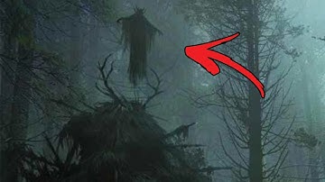 Top 5 Terrifying Skinwalker Encounters We Can No Longer Deny