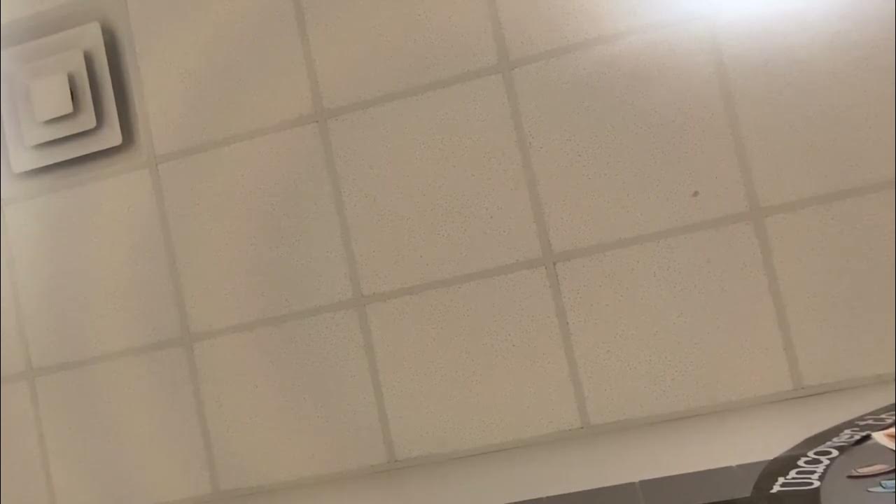 Quadratic formula song YouTube