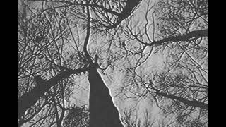 The Caretaker- Late Afternoon Drifting