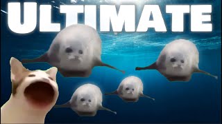 Bouncing Seals ULTIMATE (2022)